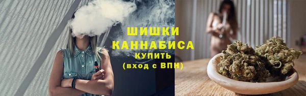 молекула духа Карпинск
