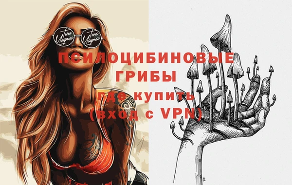 Альфа ПВП Кодинск