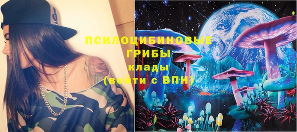 тгк Нея