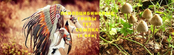 дурь Киреевск