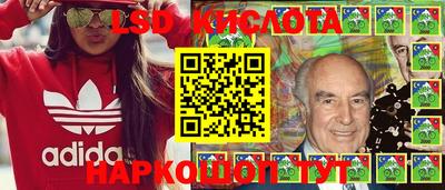 дмт Гатчина