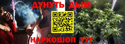 спайс Гагарин