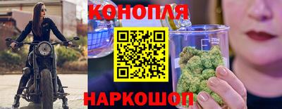 дмт Гатчина