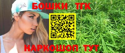 дмт Гатчина