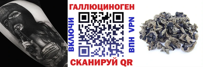 купить наркоту  Новозыбков  Галлюциногенные грибы MAGIC MUSHROOMS 