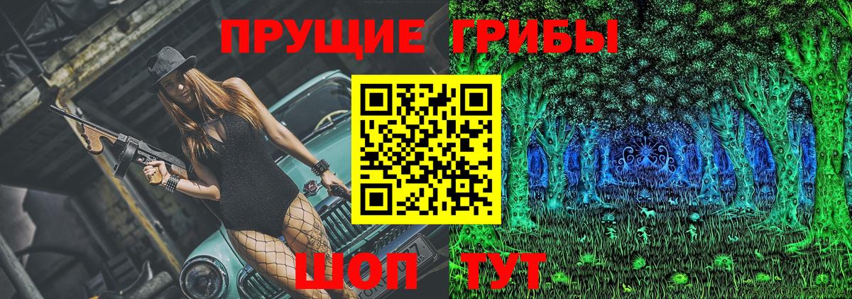 Новозыбков  Псилоцибиновые грибы мицелий  Галлюциногенные грибы мухоморы  Вход с VPN 