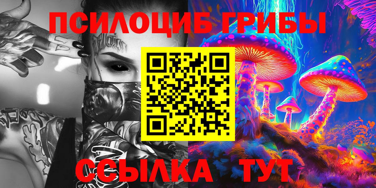 Галлюциногенные грибы Cubensis Новозыбков